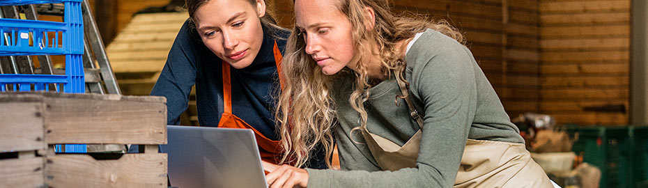 Online Banking Firmenkunden Volksbank Kleverland